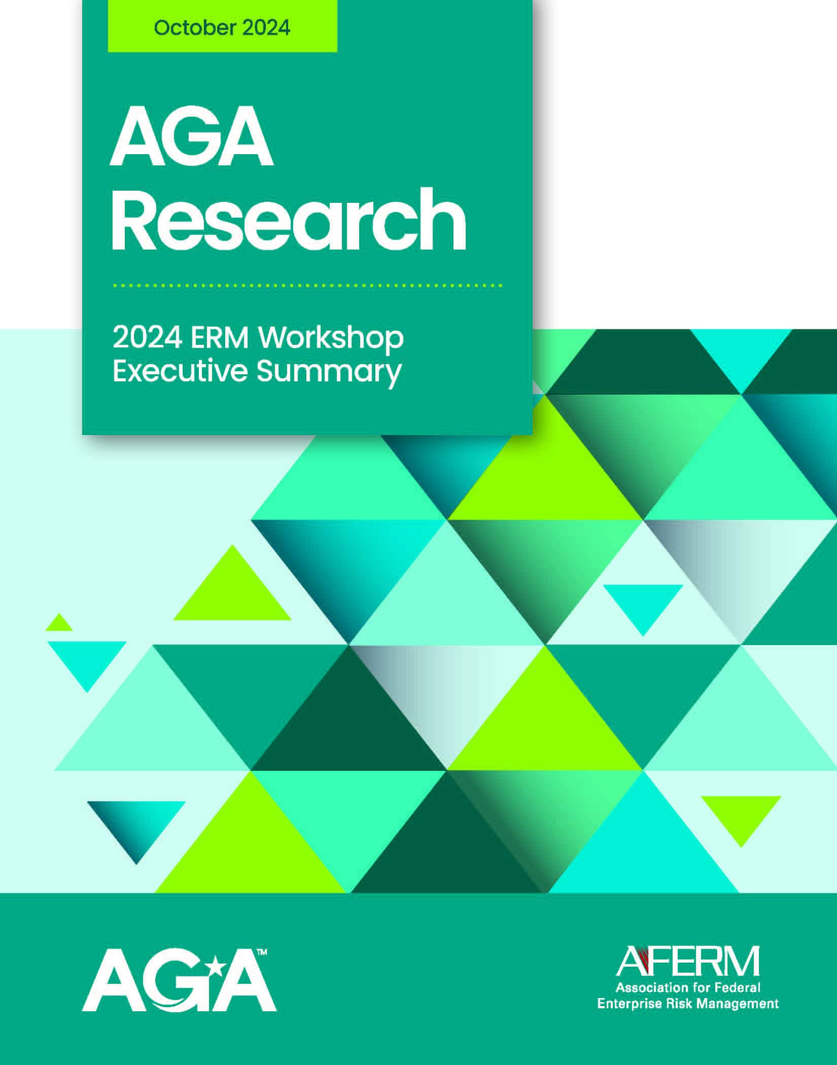 2024 ERM Workshop Summary