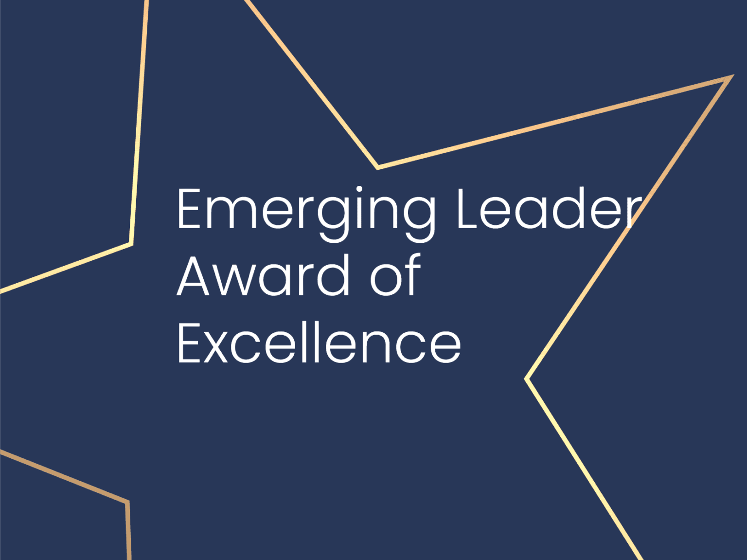 Emerging Leader Ribbon Emerging Leader Award of Excellence