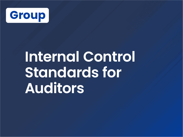 Internal Control Standards for Auditors