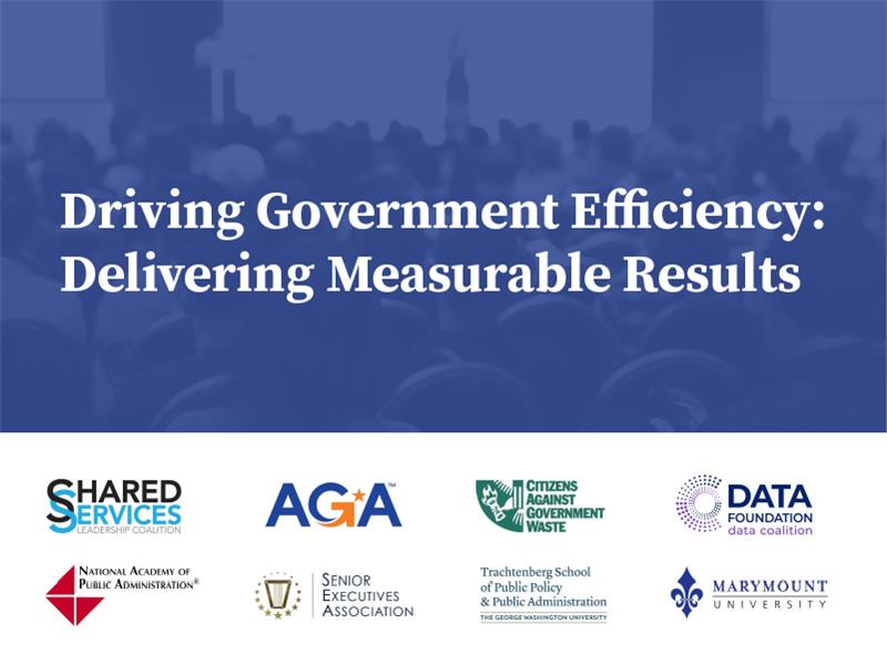 Driving Government Efficiency: Delivering Measurable Results